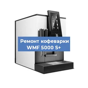 Замена дренажного клапана на кофемашине WMF 5000 S+ в Волгограде